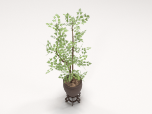 decorative tree in a pot Model 3D