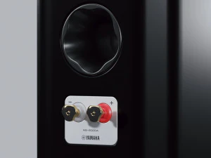 Yamaha NS-2000A 3D Model