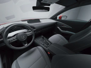 Mazda CX-30 2020 3D Model