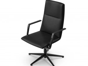 Presidente de la conferencia Modelo 3D