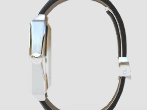 TAG Heuer Monaco 3D Model
