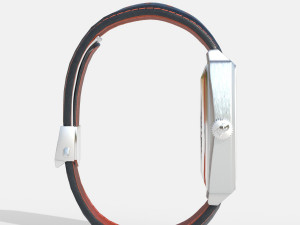 Tag Heuer Monaco X GULF Model 3D