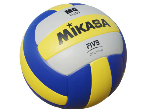 Volleyball Ball 3D Model