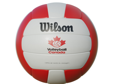 Volleyball Ball 3D Model
