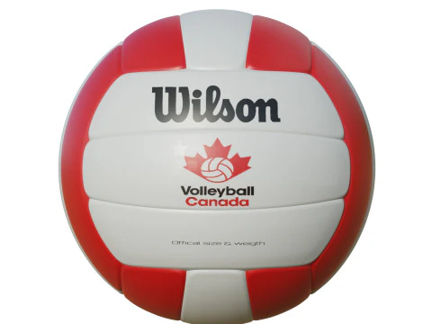 Volleyball Ball 3D Model