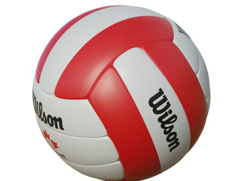 Volleyball Ball 3D Model