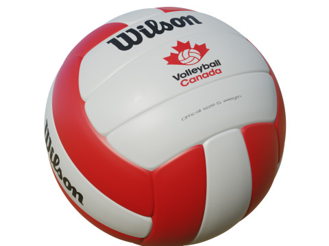 Volleyball Ball 3D Model