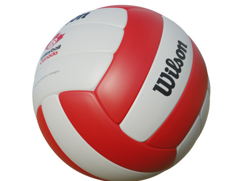 Volleyball Ball 3D Model