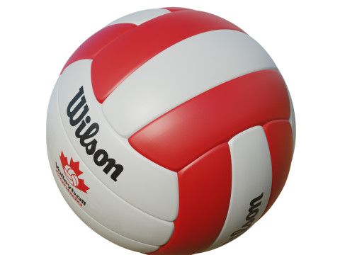 Volleyball Ball 3D Model