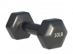 Weightlifting Equipment 3D Model