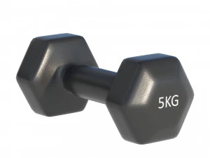 Weightlifting Equipment 3D Model