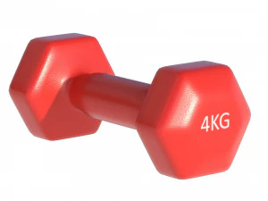 Weightlifting Equipment 3D Model