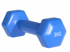 Weightlifting Equipment 3D मॉडल