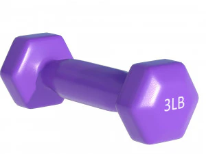 Weightlifting Equipment 3D Model