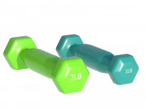 Weightlifting Equipment 3D Model