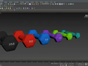 Weightlifting Equipment 3D Model