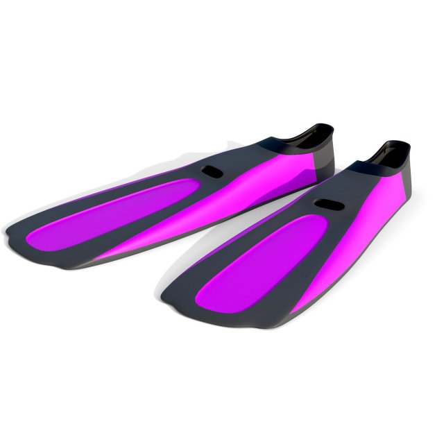 Dive Flippers Pink Model 3D .c4d .max .obj .3ds .fbx .stl .blend 