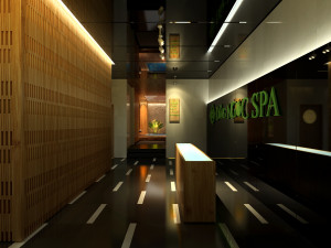 gn spa reception 2012 3D Model