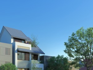 ct house 3D Model