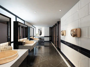 cb hotel toilet 2 3D Model