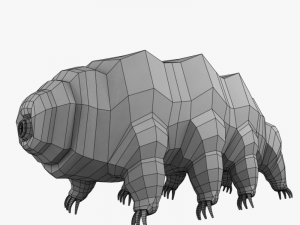 tardigrade 3D Model
