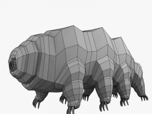 tardigrade 3D Model