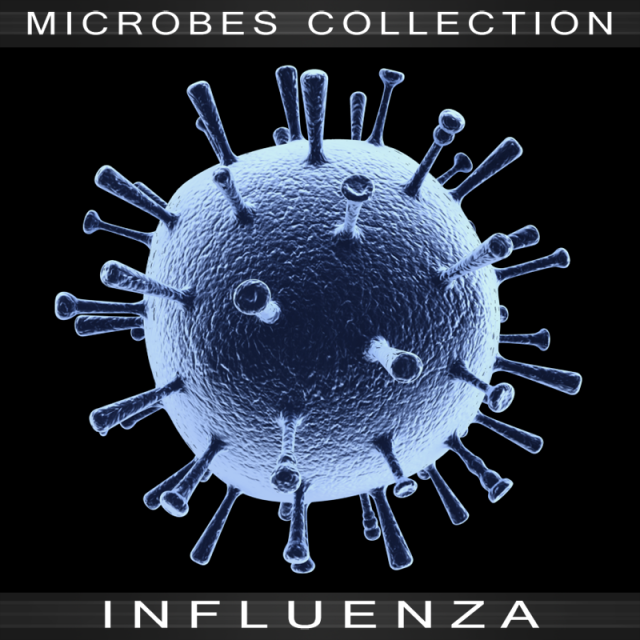 influenza 3D Model .c4d .max .obj .3ds .fbx .stl .blend 