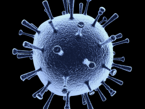 influenza 3D 모델