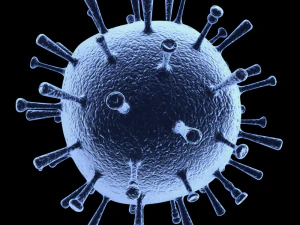 influenza 3D Model