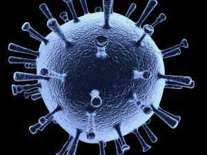 influenza 3D Model