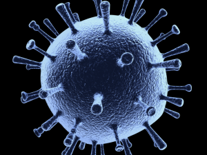 influenza 3D Model