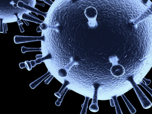influenza 3D Model