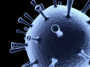 influenza 3D Model