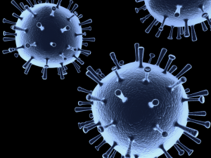 influenza 3D Model