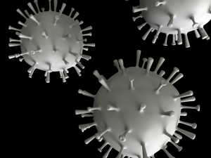 influenza 3D Model