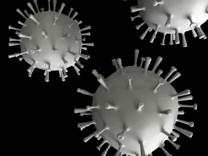 influenza 3D Model
