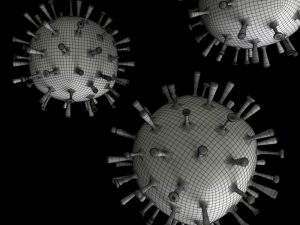 influenza 3D Model