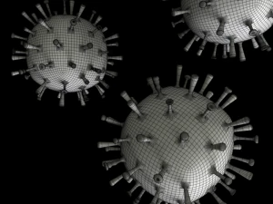 influenza 3D Model