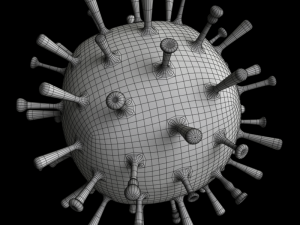 influenza 3D Model