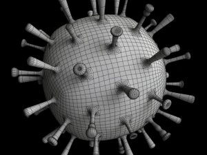 influenza 3D Model