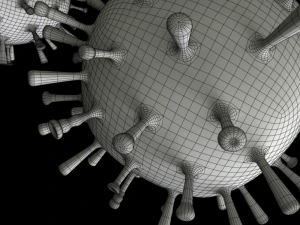 influenza 3D Model
