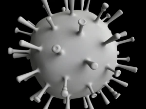 influenza 3D Model