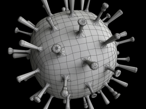 influenza 3D Model