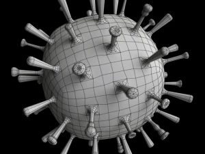 influenza 3D Model