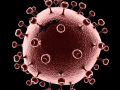 AIDS Virus 3D-Modell