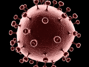 aids virus 3D 모델