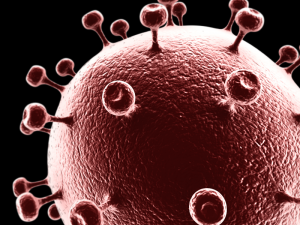 aids virus 3D 모델