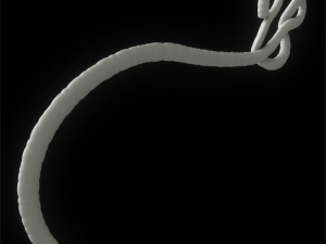 ebola virus 3D Model