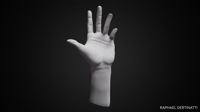 hand posed 3D 프린트 모델 .c4d .max .obj .3ds .fbx .stl .blend