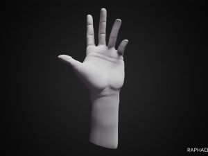 hand posed 3D प्रिंट मॉडल